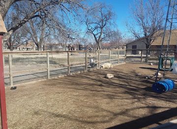 kansas/dodge-city/attraction/wright-park-zoo