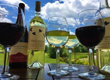 vermont/green-mountains-national-forest/attraction/lincoln-peak-vineyard