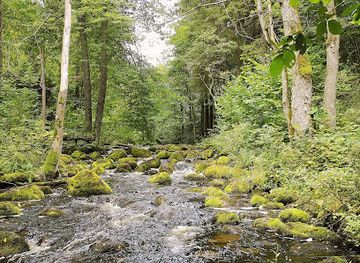 latvia/teici-nature-reserve/attraction/velna-gravis-uz-naruzinas-upes