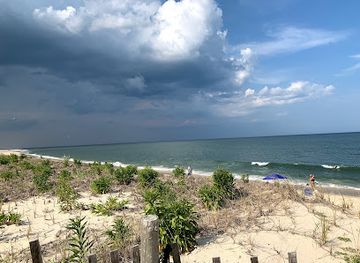 delaware/delaware-beaches/attraction/coin-beach