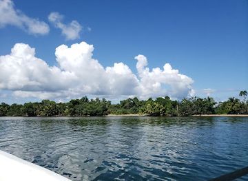 belize/vaca-plateau/attraction/payne-s-creek-national-park