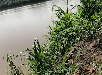 cameroon/west-region/attraction/wouri-river