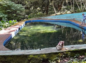 el-salvador/santa-ana/attraction/san-lorenzo-ecological-park