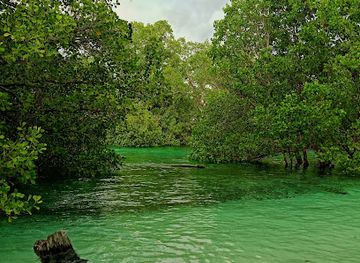 indonesia/pulau-derawan/attraction/suaka-margasatwa-pulau-semama