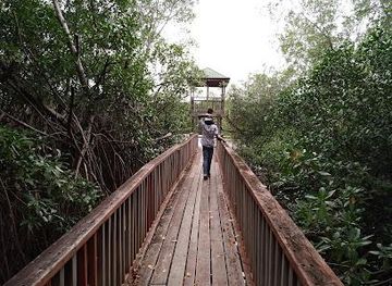 grenada/sauteurs/attraction/levera-national-park