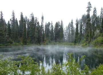 Splash Lagoon