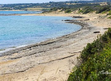 cyprus/morphou-bay/attraction/dipkarpaz-national-park