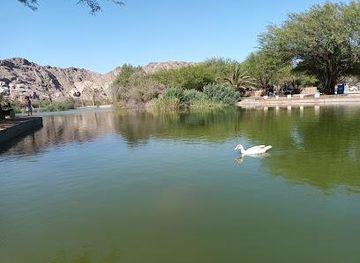 namibia/swakopmund/attraction/goanikontes