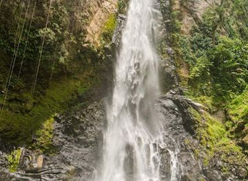 dominica/saint-andrew/attraction/dm-s-taxi