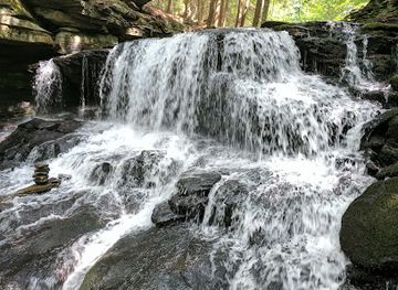 new-york/catskill-mountains/attraction/willowemoc-wild-forest