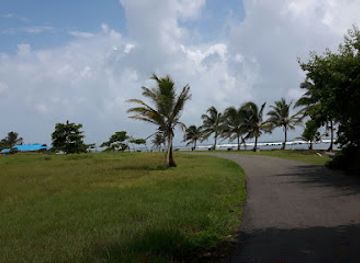 panama/eastern-panama/attraction/galeta-island