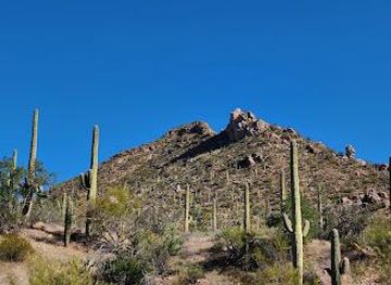 arizona/tucson/attraction/bajada-loop-drive