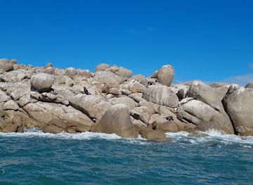 australia/fleurieu-peninsula/attraction/seal-rock