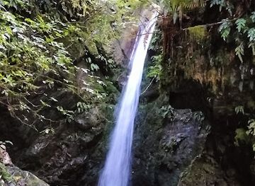 new-zealand/canterbury/attraction/emily-falls