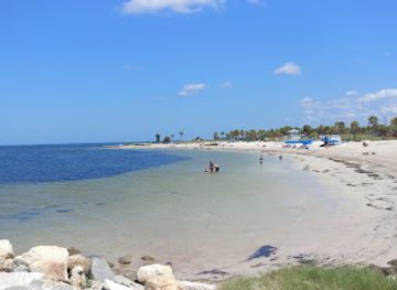 florida/honeymoon-island-state-park/attraction/robert-k-rees-memorial-park