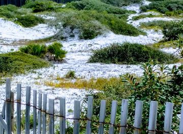 florida/panhandle/attraction/grayton-beach-state-park