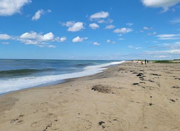 massachusetts/dukes-county/attraction/south-beach