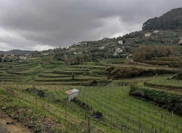 portugal/serra-do-marao/attraction/encostas-de-fervenca