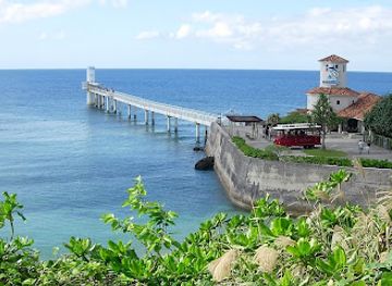 japan/okinawa/attraction/busena-marine-park-underwater-observatory