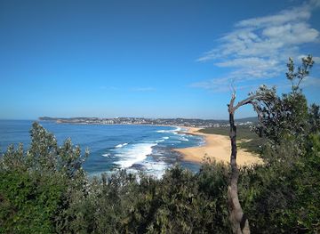 australia/central-coast/attraction/wamberal-lagoon-nature-reserve