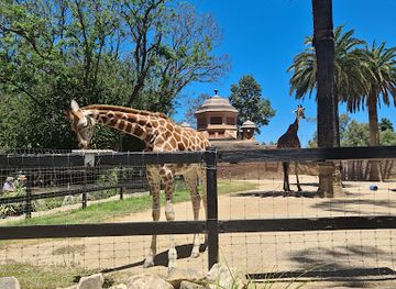 australia/adelaide/north-adelaide/attraction/adelaide-zoo