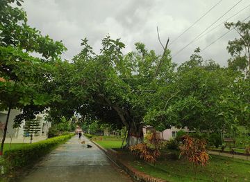 bangladesh/khulna/attraction/bot-tola