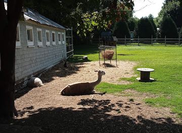 maine/biddeford/attraction/homestead-by-the-river-family-campground