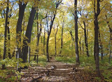 minnesota/big-woods/attraction/the-big-woods-preserve
