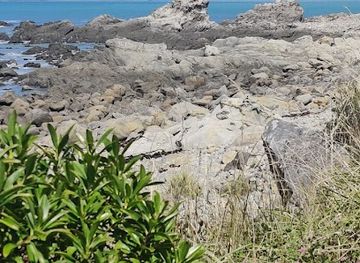 new-zealand/kaikoura/attraction/a-harveys-head