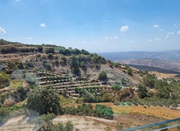 cyprus/paphos-forest/attraction/kolios-winery