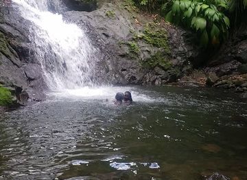 saint-vincent-and-the-grenadines/tobago-cays-marine-park/attraction/3-ponds-falls