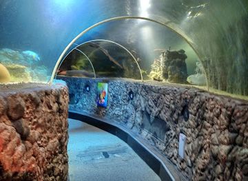 belgium/belgian-coast/attraction/sea-life-blankenberge