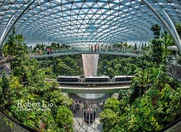 singapore/orchard-road/attraction/hsbc-rain-vortex