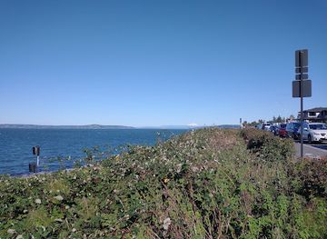 washington/olympic-national-park/attraction/brackett-s-landing-north