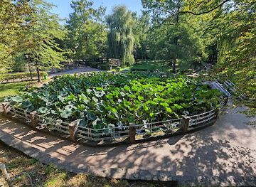 romania/bihor/attraction/the-water-lilies-pond