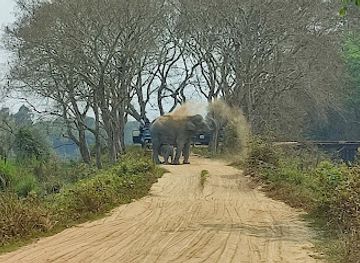 india/kaziranga-national-park/attraction/kakochang-waterfall