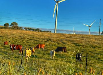 australia/limestone-coast/attraction/woakwine-range-wind-farm-tourist-drive