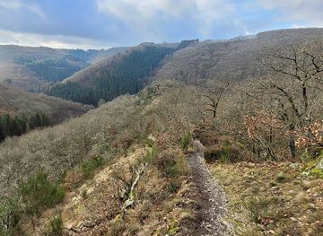 luxembourg/luxembourg-ardennes/attraction/molberlee