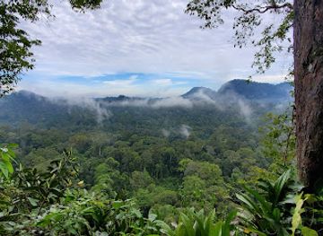 malaysia/kinabalu-national-park/attraction/danum-valley-conservation-area