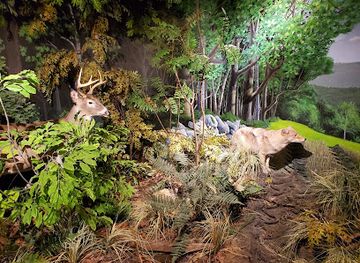 Trailside Nature & Science Center