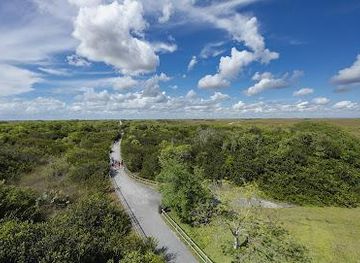 florida/everglades-national-park/attraction/shark-valley-observation-tower