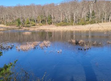 maryland/appalachian-plateau/attraction/elk-neck-state-park