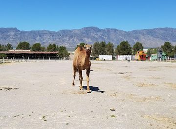 nevada/central-nevada/attraction/stonehenge-replica