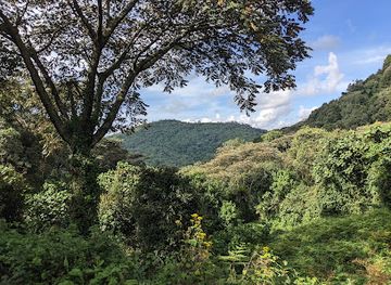 rwanda/cyangugu/attraction/nyungwe-national-park