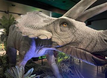 kentucky/henderson/attraction/dino-safari-las-vegas-a-walk-thru-adventure