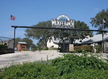 texas/south-texas/attraction/natural-bridge-wildlife-ranch