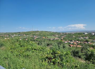 romania/bihor/attraction/mushroom-hill