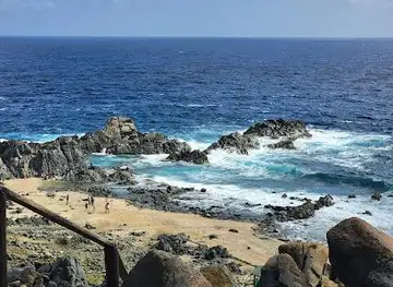 Natural Pool