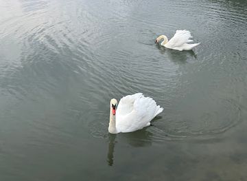 croatia/paklenica-national-park/attraction/starigrad-modric