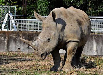 japan/kanto/attraction/tobu-zoo